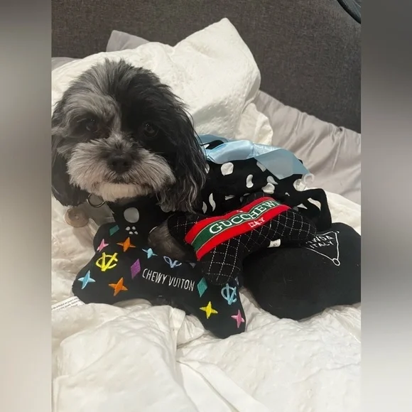 Dog 🐶 Toy Purse - Picture 2 of 5